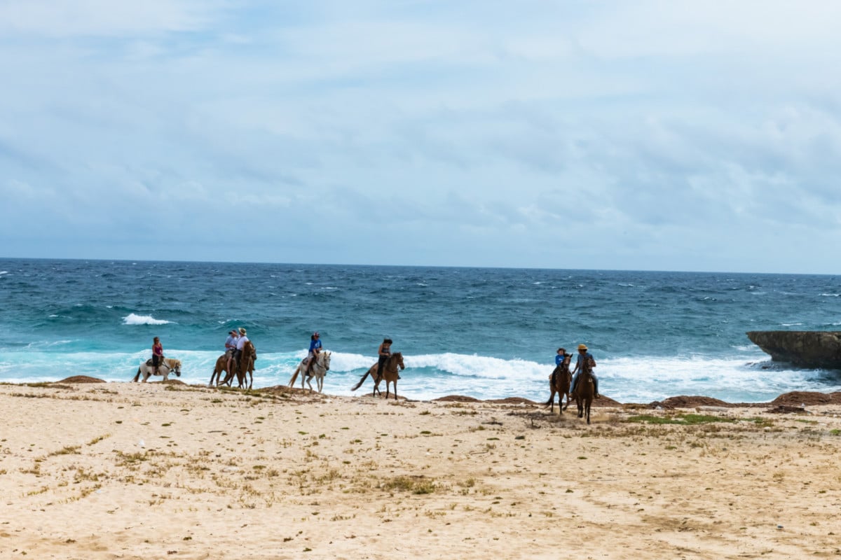 Horseback Riding in Aruba