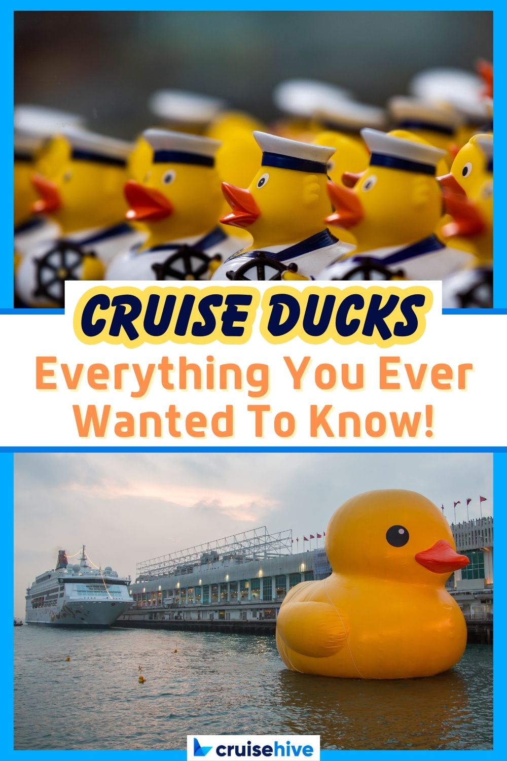 Cruise Ducks: Everything You Ever Wanted to Know!
