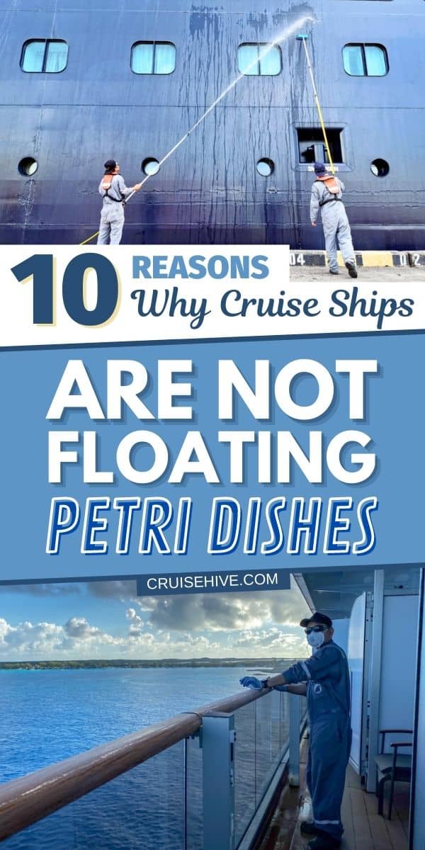 Cruise Petri Dish