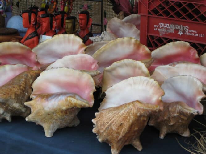 Conch at Port Lucaya