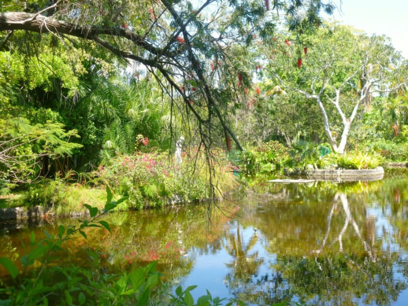Garden Of the Groves, Grand Bahama Island