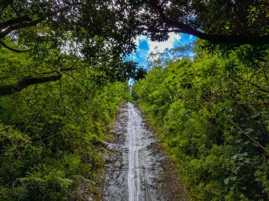 Manoa Falls, Honolulu, Hawaii