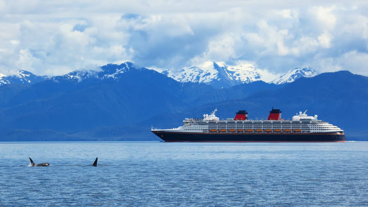 Disney Cruise Ship Sailing Near Orca Whales