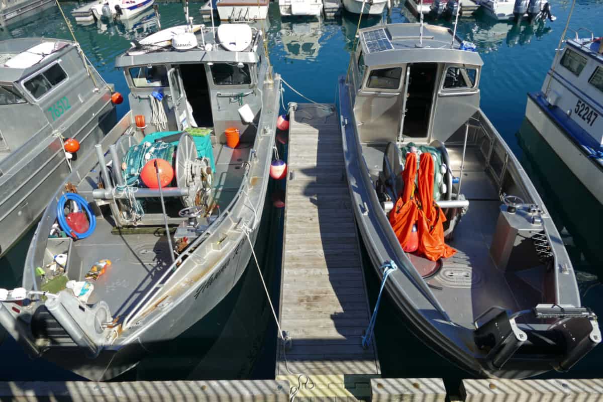 Whittier Fishing Boats
