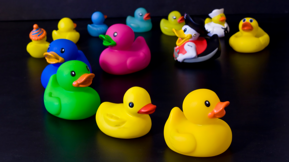 Various Cruise Ducks